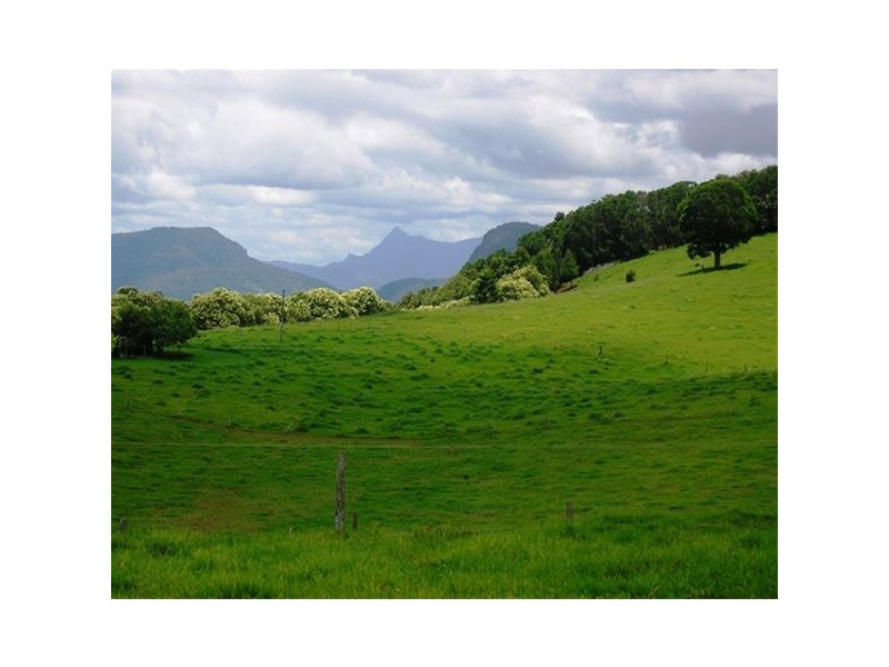 1698 Beechmont Road, Beechmont QLD 4211