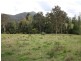 Lot 381 Upper Coomera Road, Ferny Glen via, Canungra QLD 4275