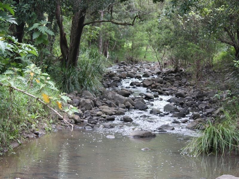 Lot 381 Upper Coomera Road, Ferny Glen via, Canungra QLD 4275