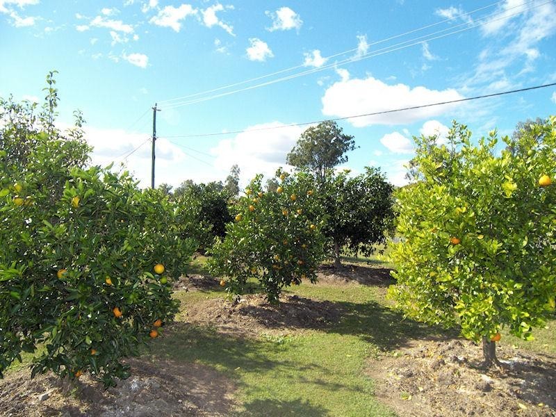 1 Aspen Way, Gleneagle QLD 4285