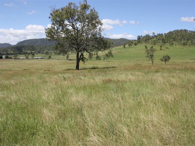 Lot 3, 1899 Christmas Creek Road, Lamington QLD 4285