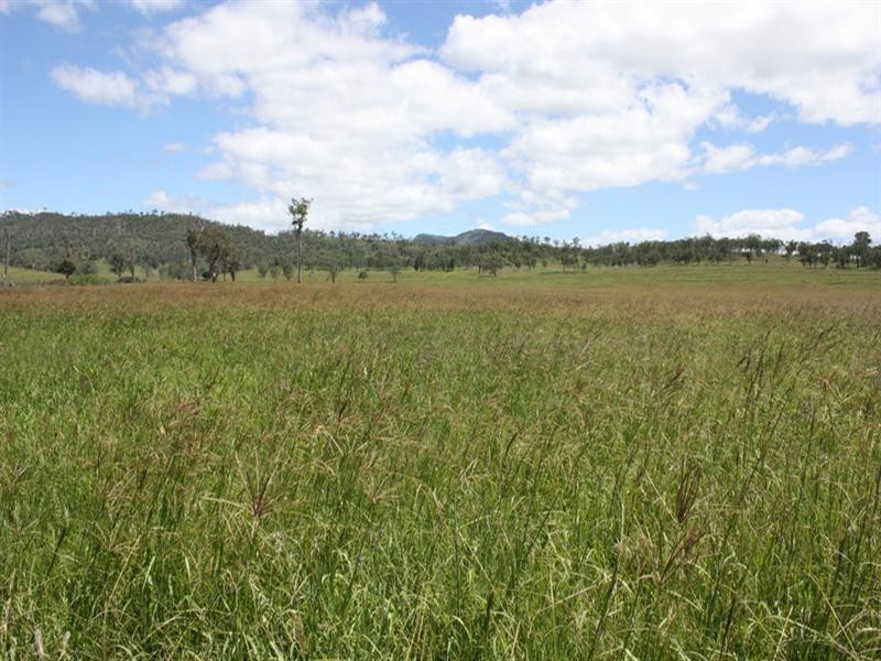 Lot 3, 1899 Christmas Creek Road, Lamington QLD 4285
