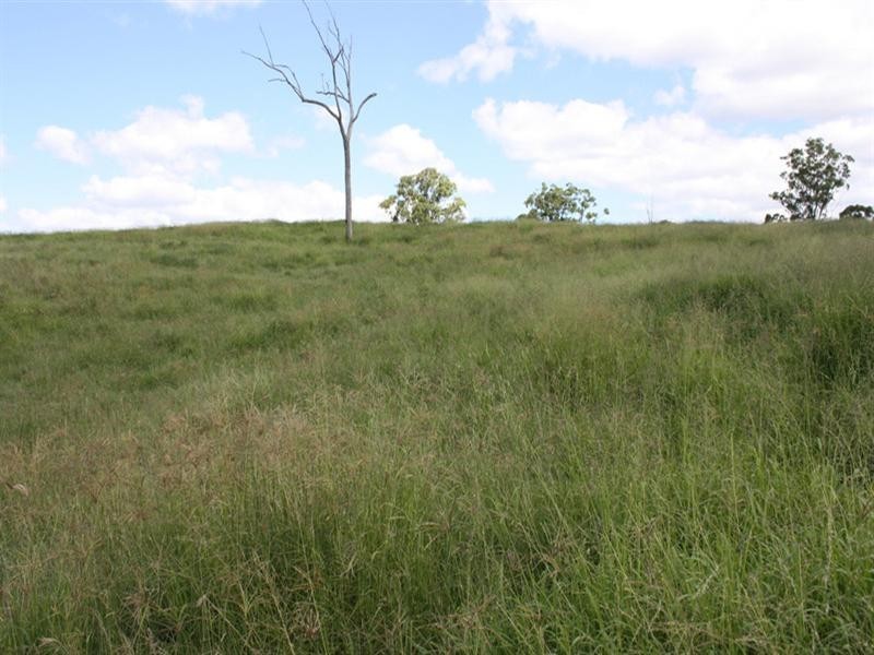 Lot 1, 1899 Christmas Creek Road, Lamington QLD 4285
