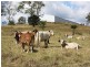 Lot 2,1899 Christmas Creek Road, Beaudesert QLD 4285