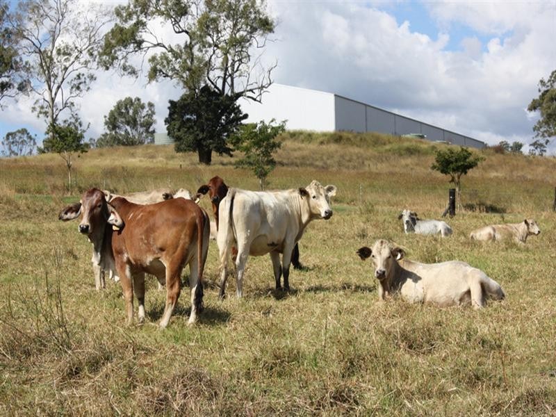 Lot 2,1899 Christmas Creek Road, Beaudesert QLD 4285