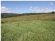 Lot 2,1899 Christmas Creek Road, Beaudesert QLD 4285