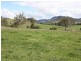 Lot 1, 1899 Christmas Creek Road, Beaudesert QLD 4285