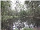 331 Mountain Ridge Road, South Maclean QLD 4280