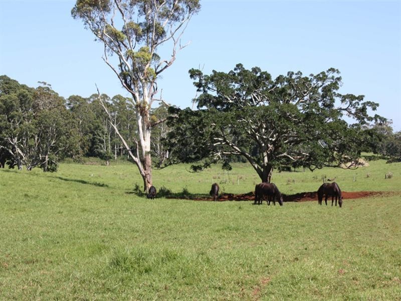 0 Beechmont Road, Beechmont QLD 4211