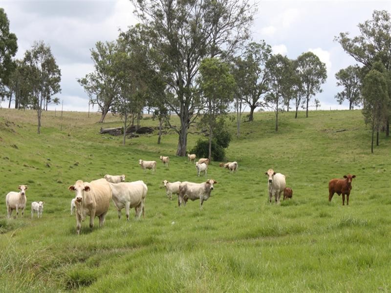 0 Frazerview Road, Aratula QLD 4309