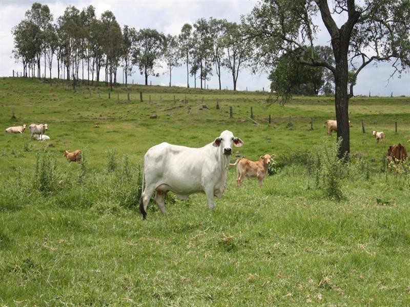 0 Frazerview Road, Aratula QLD 4309