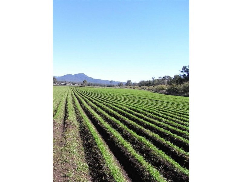 Lot 2 67 East Stallman Road, Aratula QLD 4309
