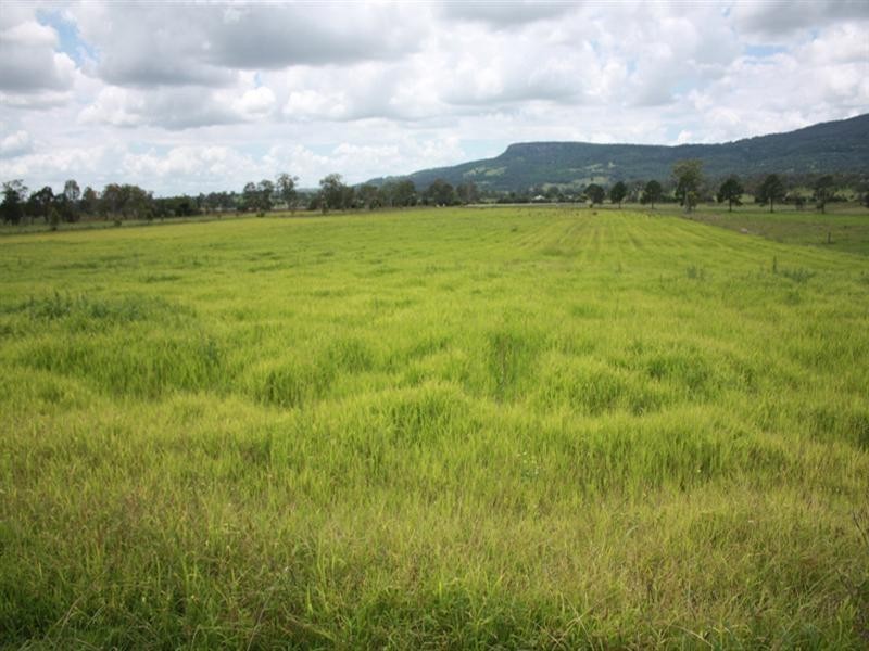 Lot 1 67 East Stallman Road, Aratula QLD 4309