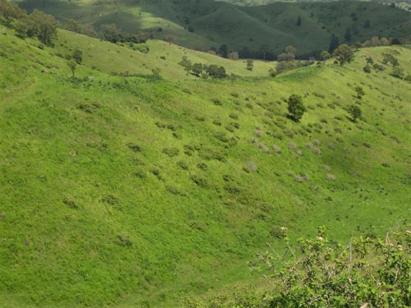 764 Tartar Creek, Running Creek QLD 4287