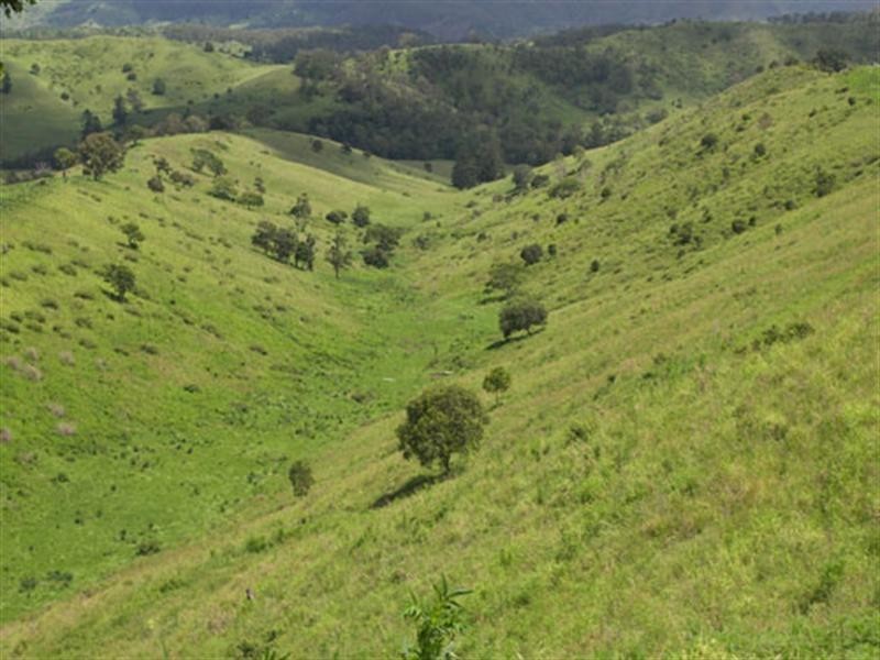 764 Tartar Creek, Running Creek QLD 4287