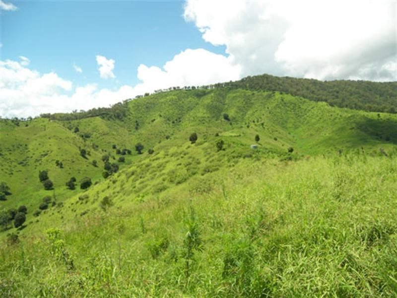 764 Tartar Creek, Running Creek QLD 4287