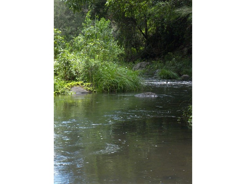 3196 Christmas Creek Road, Lamington, Beaudesert QLD 4285