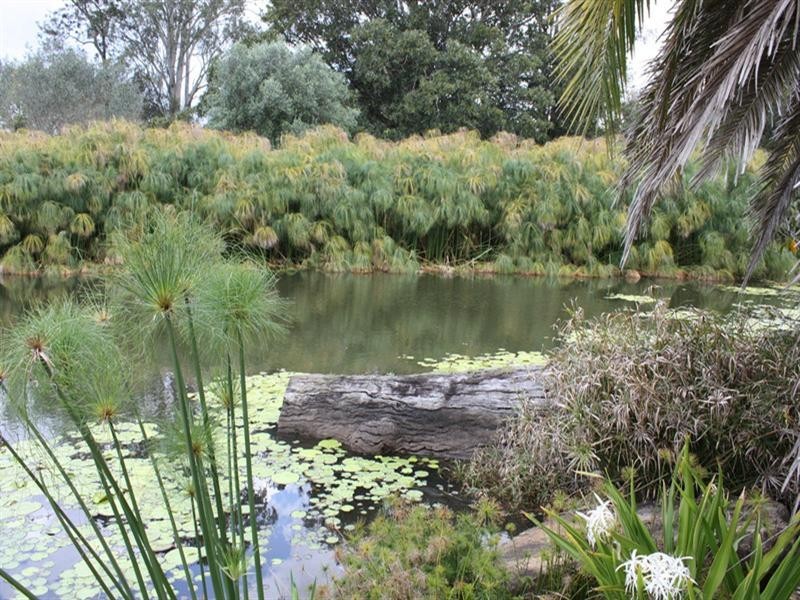 2448 Beaudesert – Nerang Road, Canungra QLD 4275