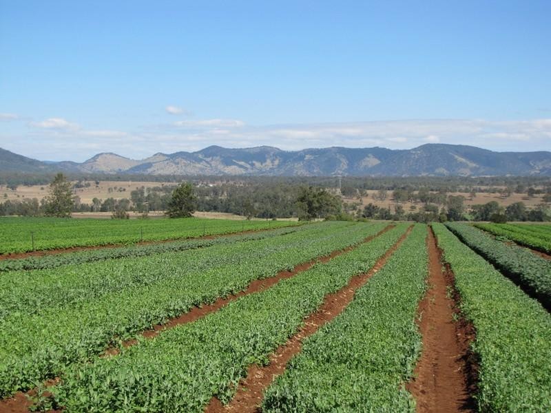 456a Jensen Road, Lower Wonga QLD 4570