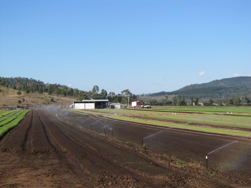 456a Jensen Road, Lower Wonga QLD 4570