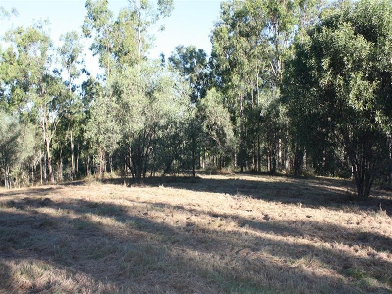 156 Randwick Drive, Mundoolun QLD 4285