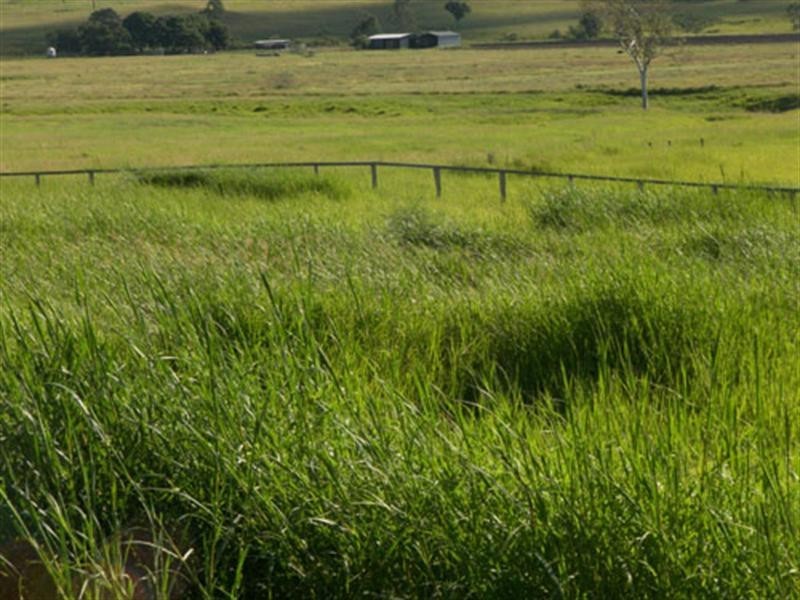 646 Kerry Road, Beaudesert QLD 4285