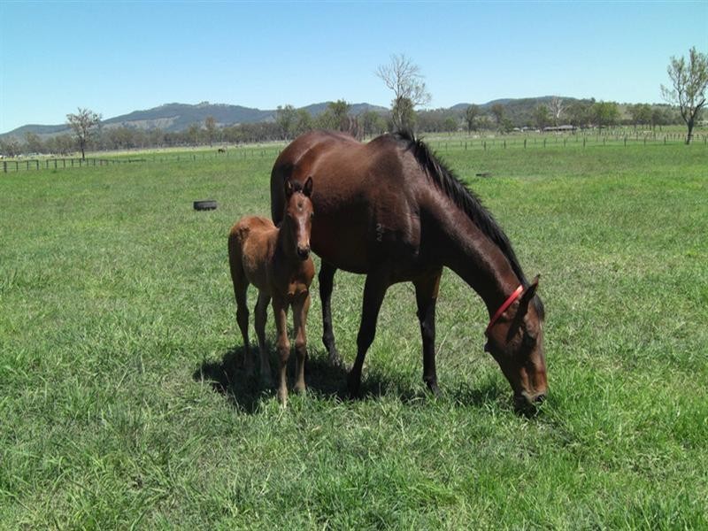 7610 Mount Lindesay Highway, Beaudesert QLD 4285