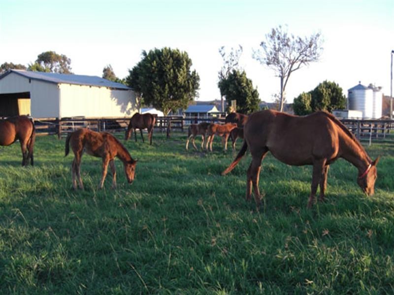 7610 Mount Lindesay Highway, Beaudesert QLD 4285