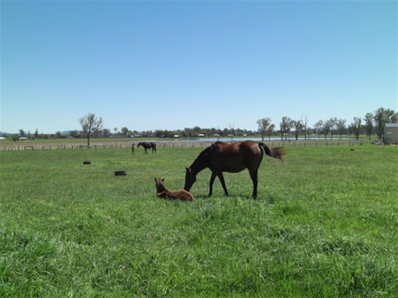 7610 Mount Lindesay Highway, Beaudesert QLD 4285