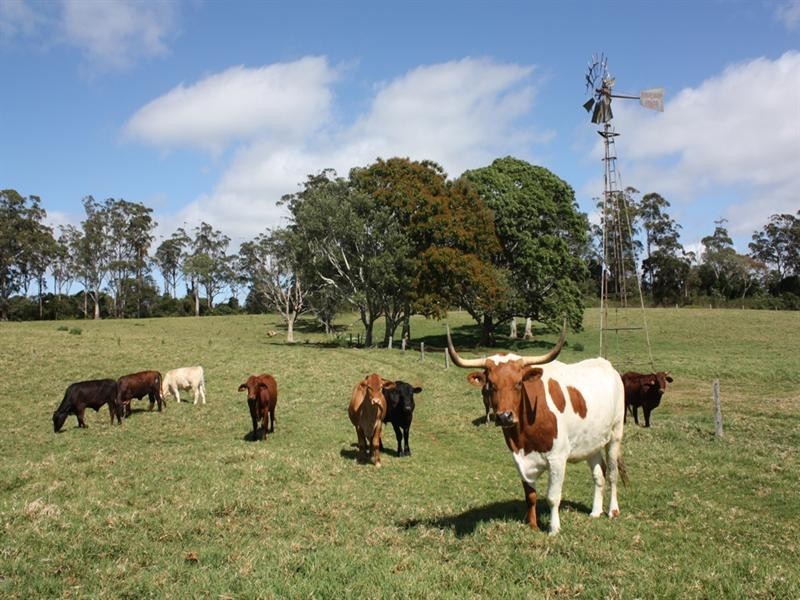 0 Beechmont Road, Beechmont QLD 4211