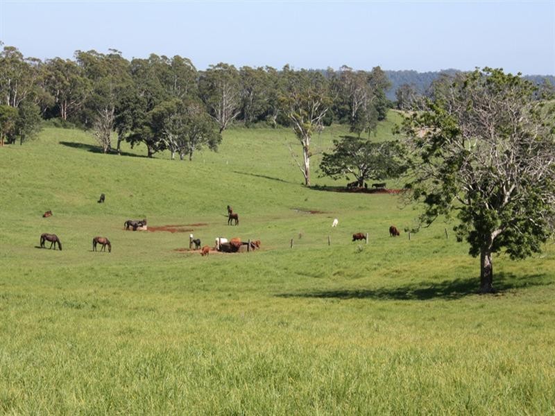 0 Beechmont Road, Beechmont QLD 4211