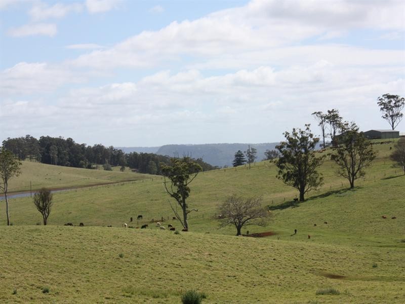 0 Beechmont Road, Beechmont QLD 4211