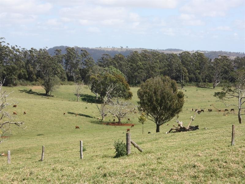 0 Beechmont Road, Beechmont QLD 4211