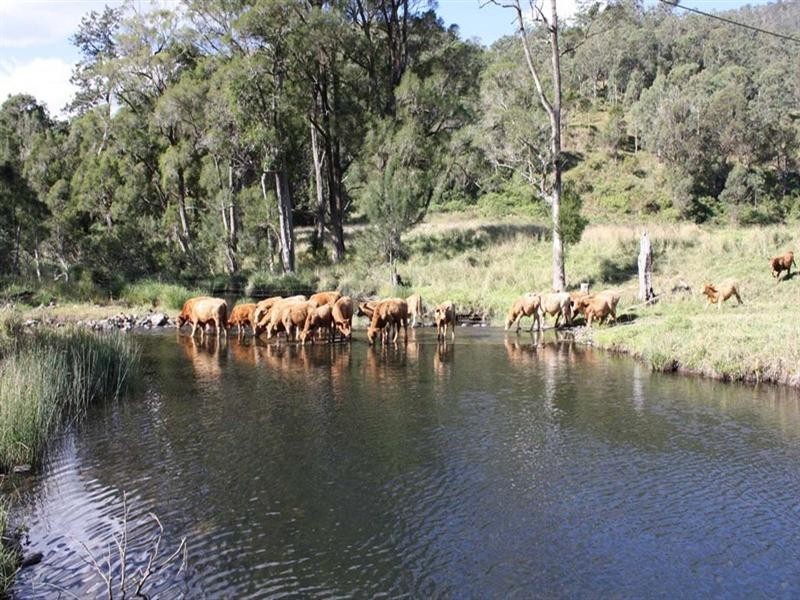 0 Lamington National Park Road, Canungra QLD 4275