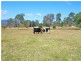 1042 Kerry Road, Beaudesert QLD 4285