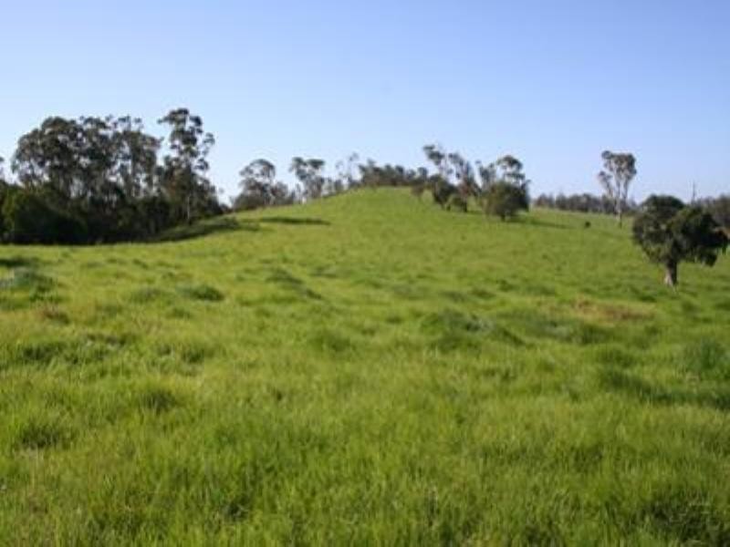 Lot 2 2239 Beechmont Road, Beechmont QLD 4211