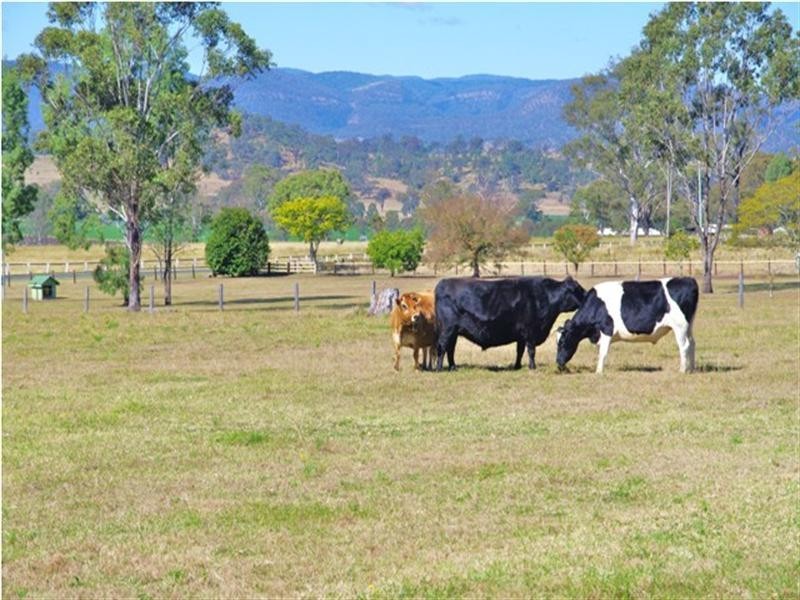 1042 Kerry Road, Kerry QLD 4285