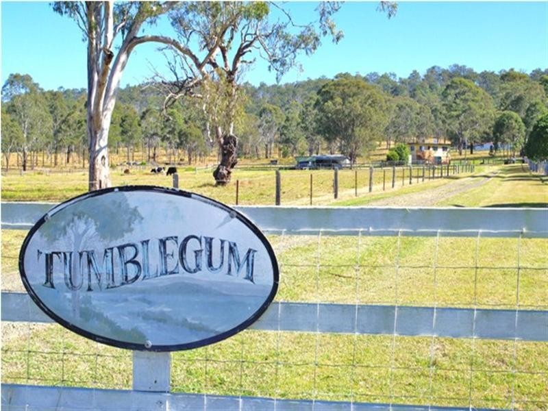 1042 Kerry Road, Kerry QLD 4285