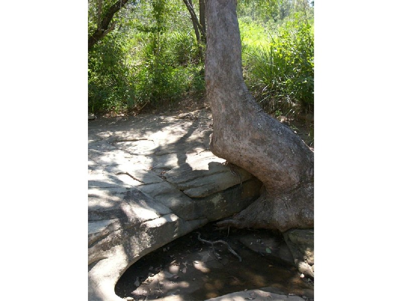 180 Merton Close, Kooralbyn QLD 4285