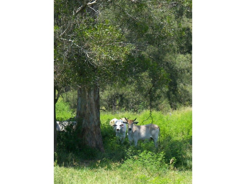 180 Merton Close, Kooralbyn QLD 4285