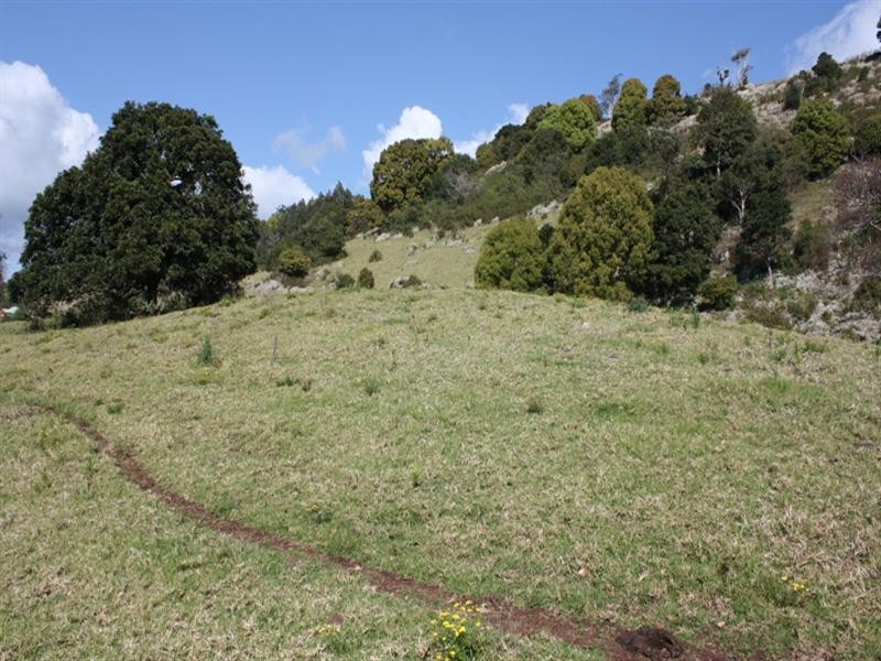 85 Binna Burra, Beechmont QLD 4211