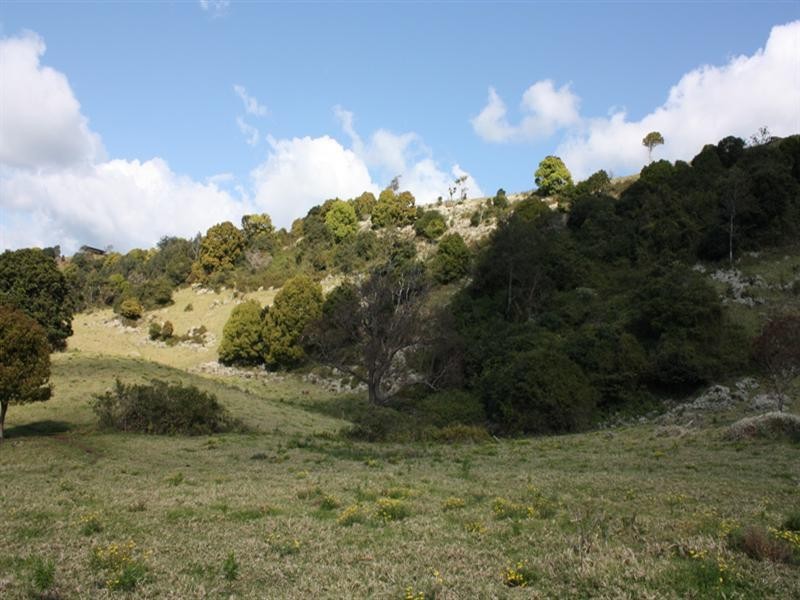 85 Binna Burra, Beechmont QLD 4211