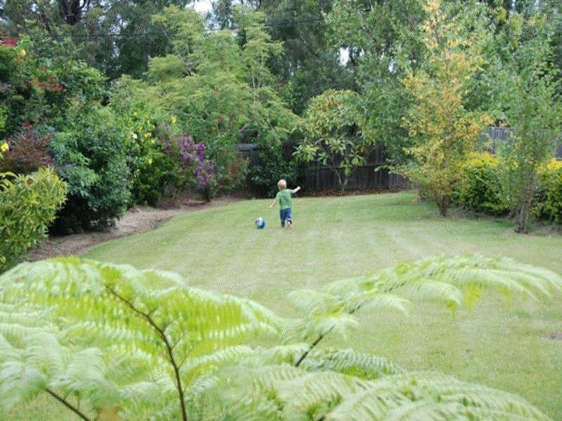 6-8 Borneo Court, Tamborine Mountain QLD 4272