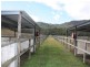 323 Biddaddaba Creek Road, Biddaddaba QLD 4275