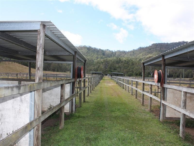 323 Biddaddaba Creek Road, Biddaddaba QLD 4275