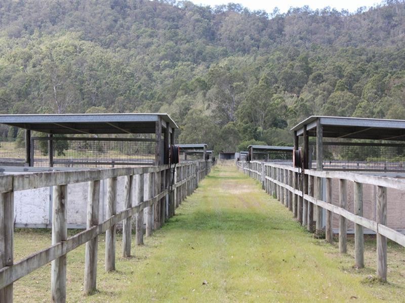 323 Biddaddaba Creek Road, Biddaddaba QLD 4275