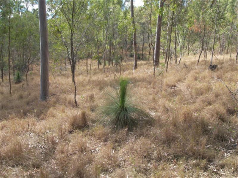 404 Brooks, Kooralbyn QLD 4285