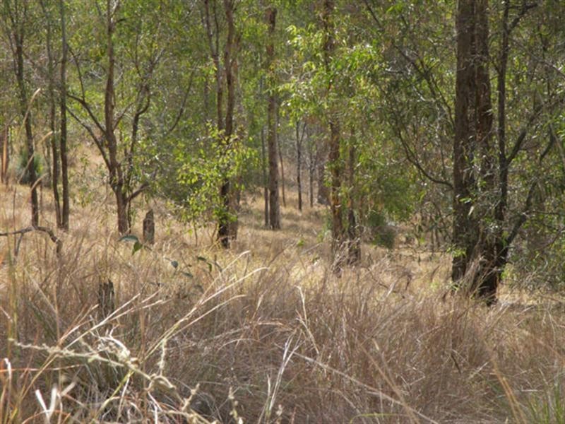 404 Brooks, Kooralbyn QLD 4285