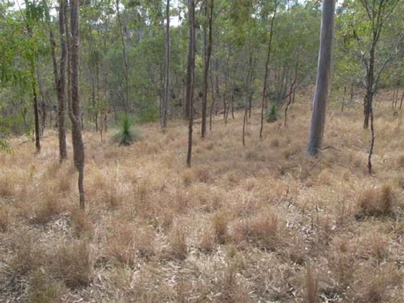 404 Brooks, Kooralbyn QLD 4285