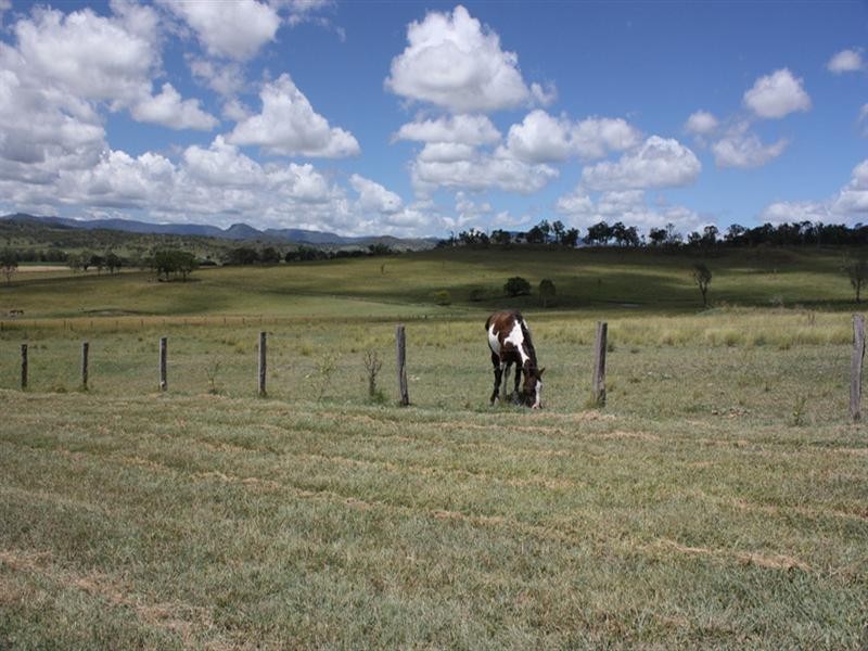 218 Oaky Creek Road, Oaky Creek QLD 4285